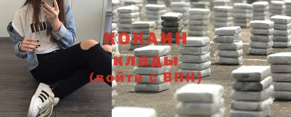 ПСИЛОЦИБИНОВЫЕ ГРИБЫ Абаза