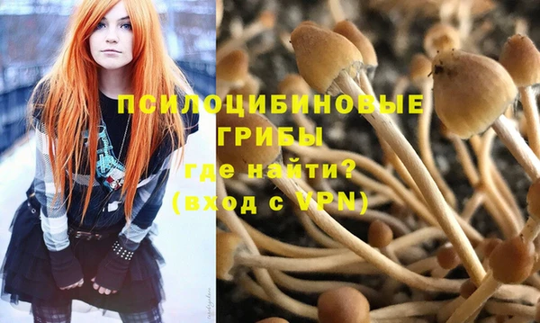 ПСИЛОЦИБИНОВЫЕ ГРИБЫ Абаза