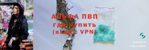 дмт Губаха