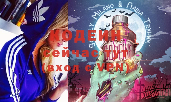 ПСИЛОЦИБИНОВЫЕ ГРИБЫ Абаза