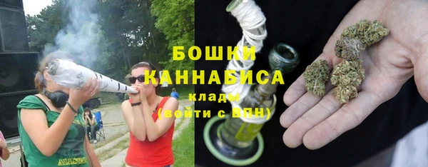 ПСИЛОЦИБИНОВЫЕ ГРИБЫ Абаза