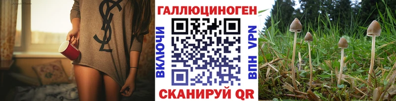Псилоцибиновые грибы Magic Shrooms Кедровый