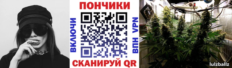 Шишки марихуана Ganja  Кедровый 