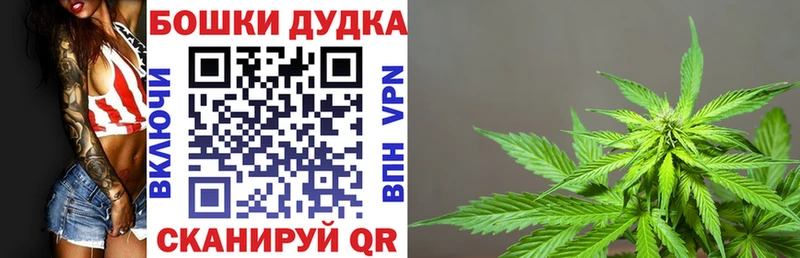Конопля марихуана Кедровый